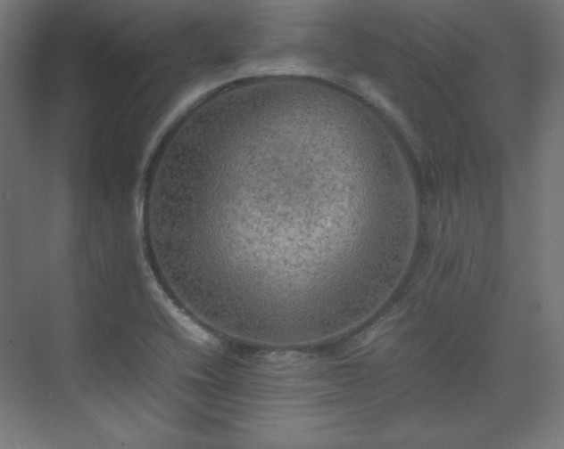 X0000074971416200609011204