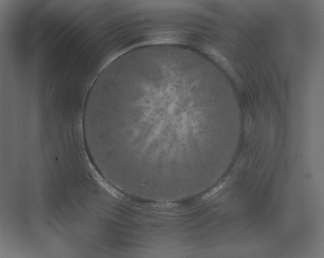 X0000074971417200609011204