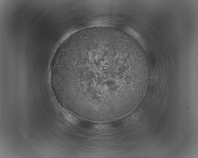 X0000074971419200609011204