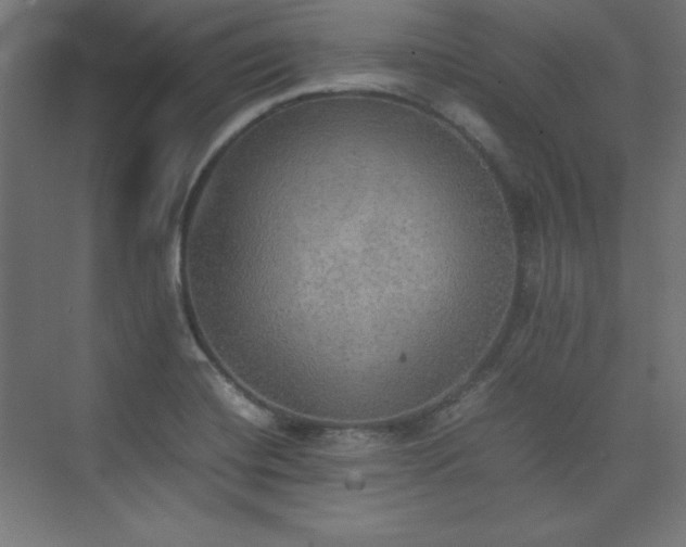 X0000074971420200609011204