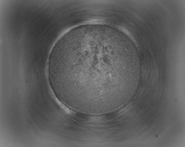 X0000074971421200609011204