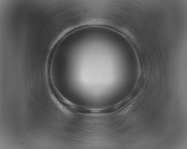 X0000074971422200609011204