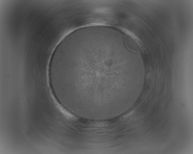 X0000074971423200609011204