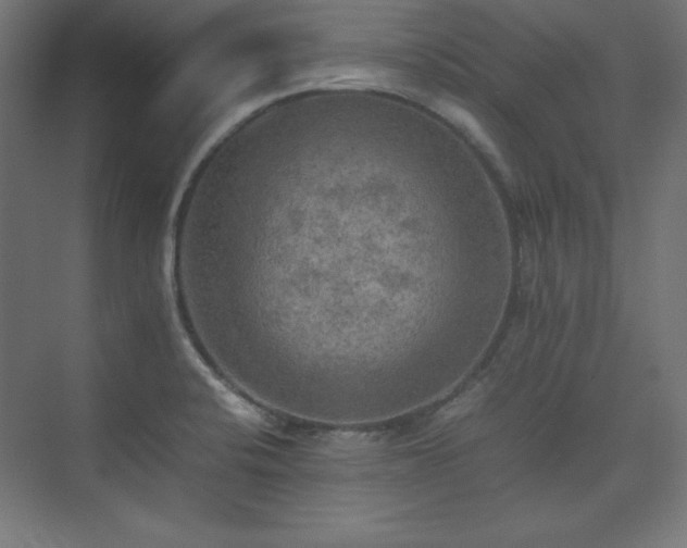 X0000074971424200609011204