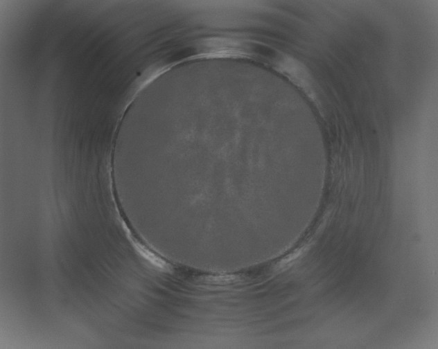 X0000074971425200609011204