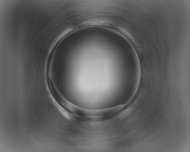 X0000074971426200609011204