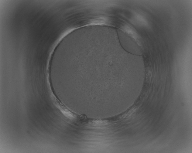 X0000074971427200609011204