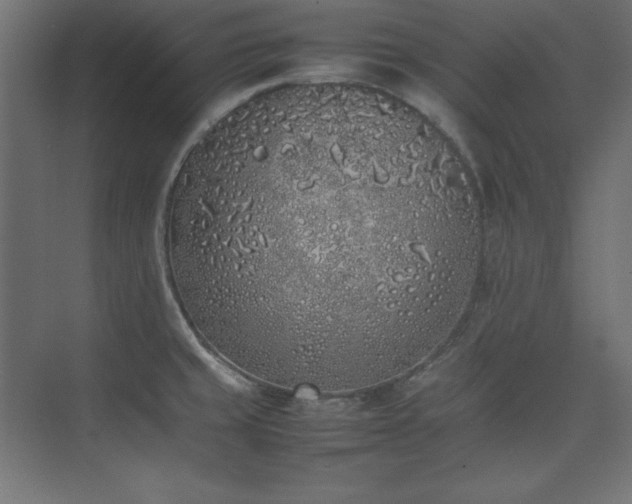 X0000074971429200609011204