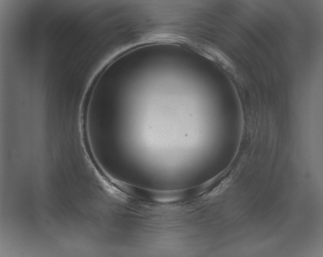 X0000074971430200609011204