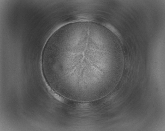 X0000074971431200609011204