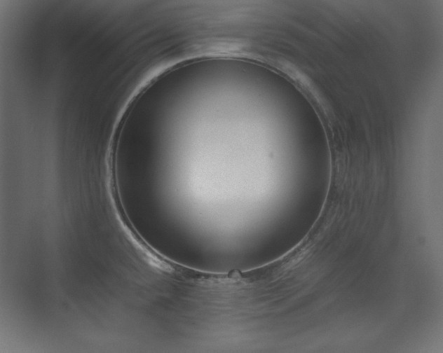 X0000074971432200609011204