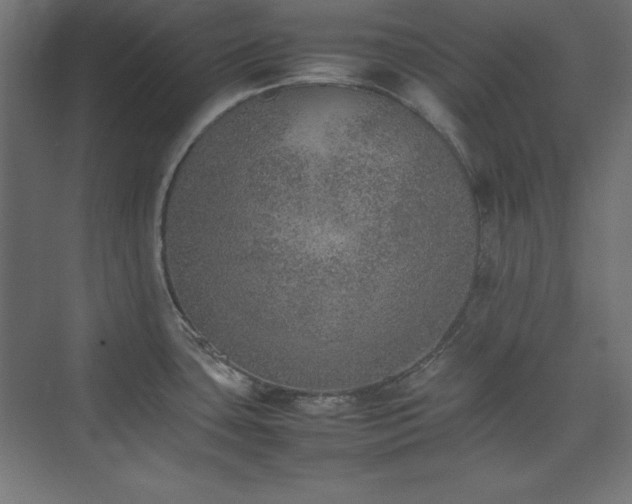 X0000074971435200609011204