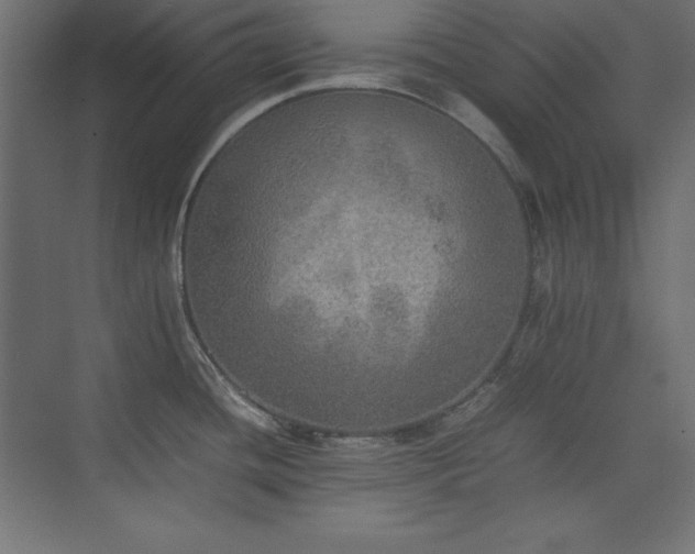 X0000074971436200609011204