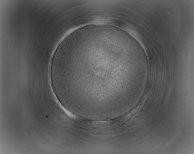 X0000074971437200609011204