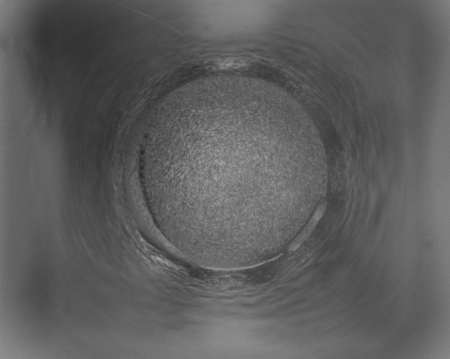 X0000074971441200609011203