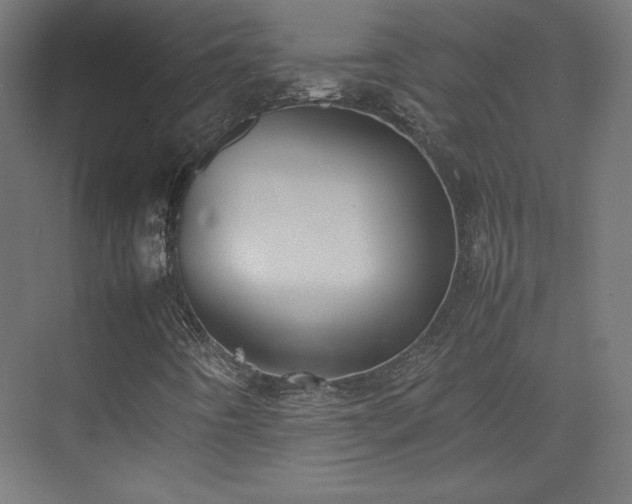 X0000074971442200609011203