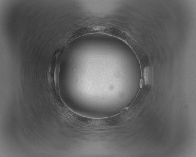 X0000074971443200609011203