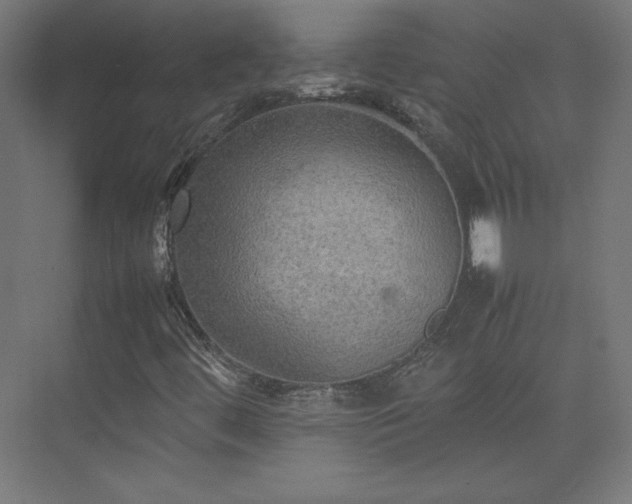 X0000074971444200609011203