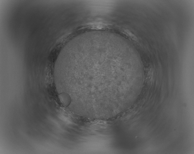 X0000074971446200609011203