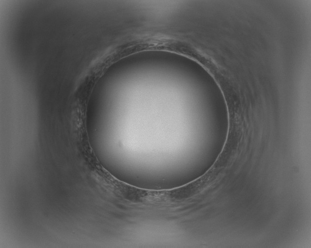 X0000074971447200609011203