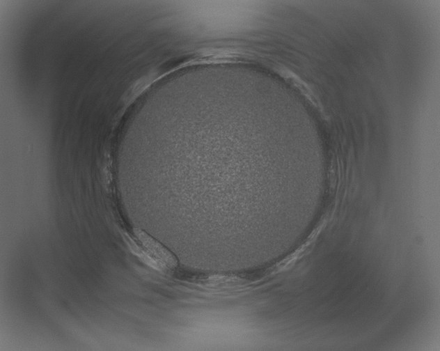 X0000074971449200609011203