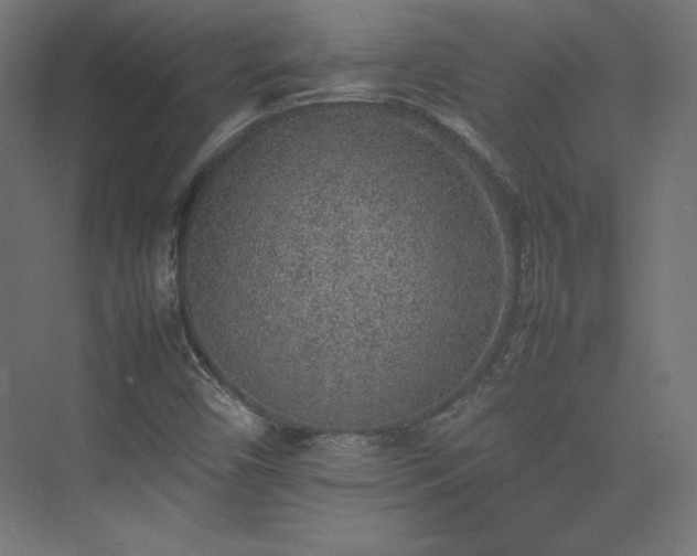 X0000074971450200609011203