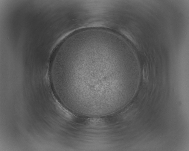 X0000074971452200609011203