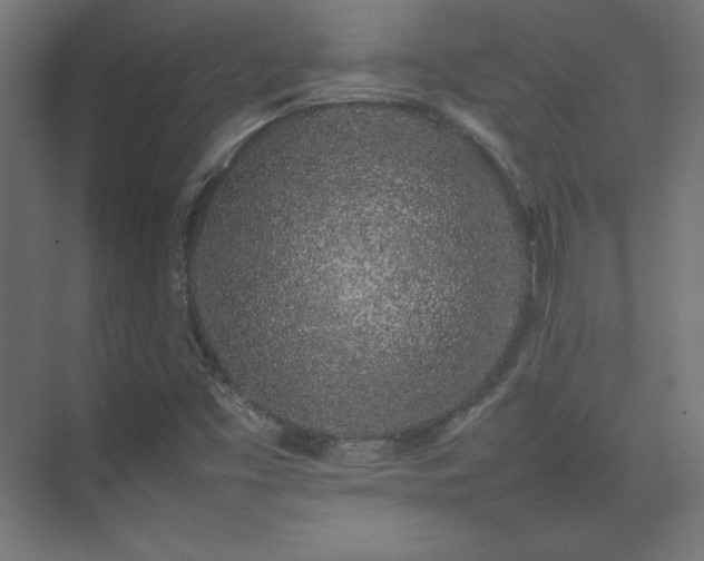 X0000074971453200609011203