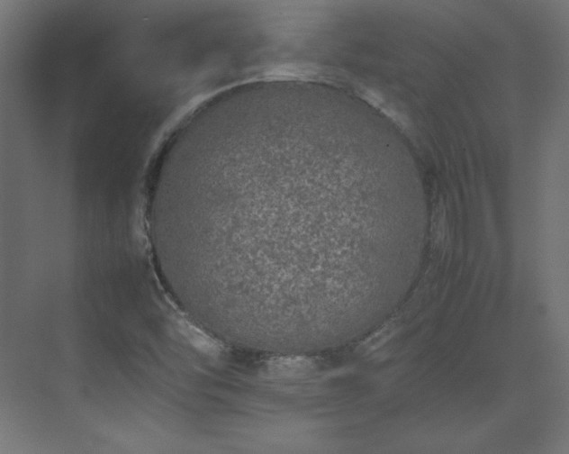 X0000074971454200609011203