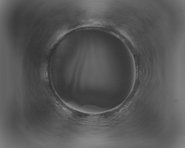 X0000074971455200609011203