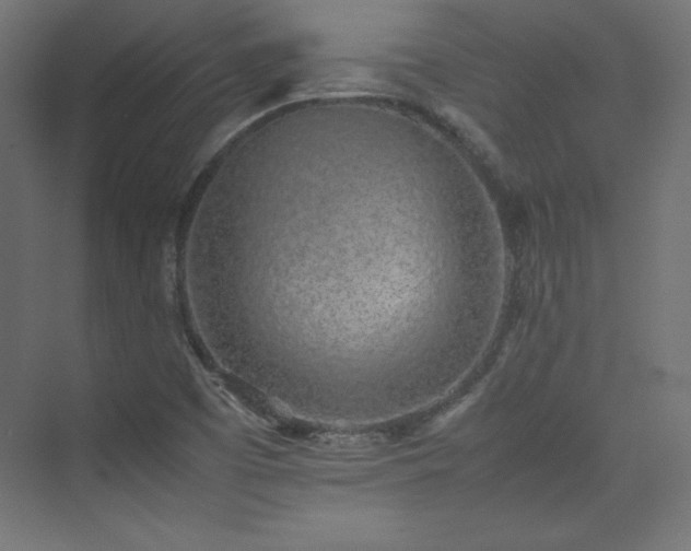 X0000074971457200609011203