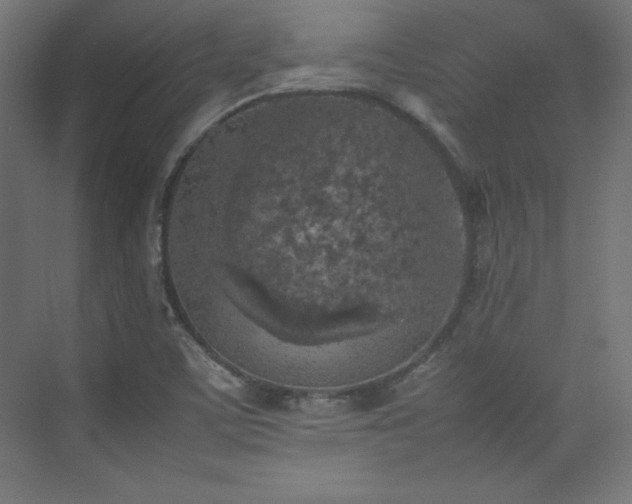 X0000074971459200609011203