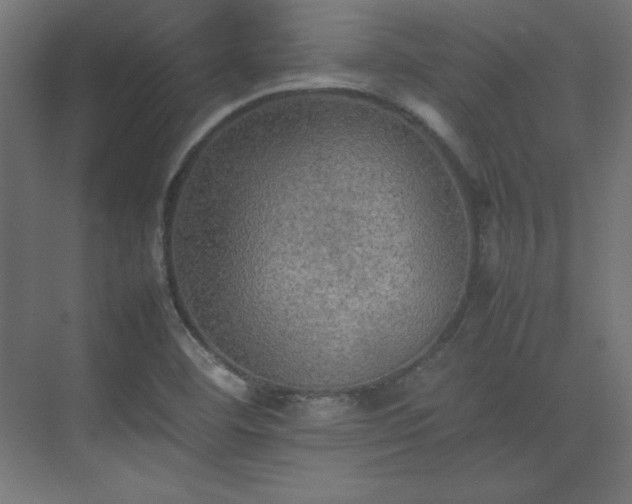 X0000074971460200609011203