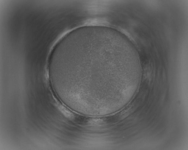 X0000074971462200609011203