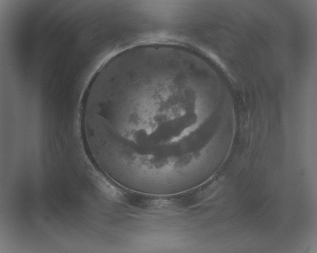 X0000074971463200609011203