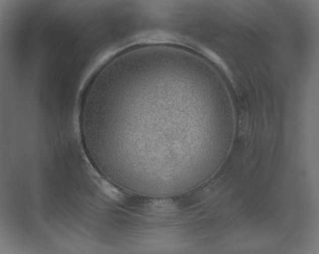 X0000074971464200609011203