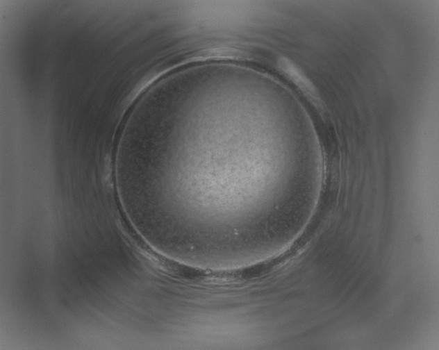 X0000074971465200609011203