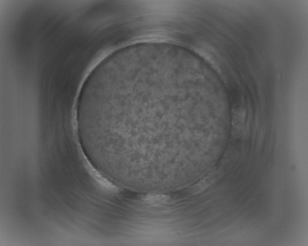 X0000074971466200609011203