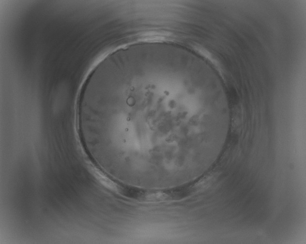 X0000074971467200609011203