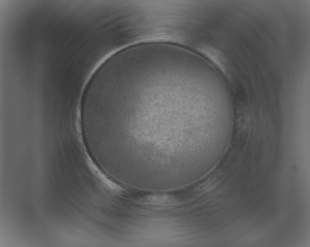 X0000074971468200609011203