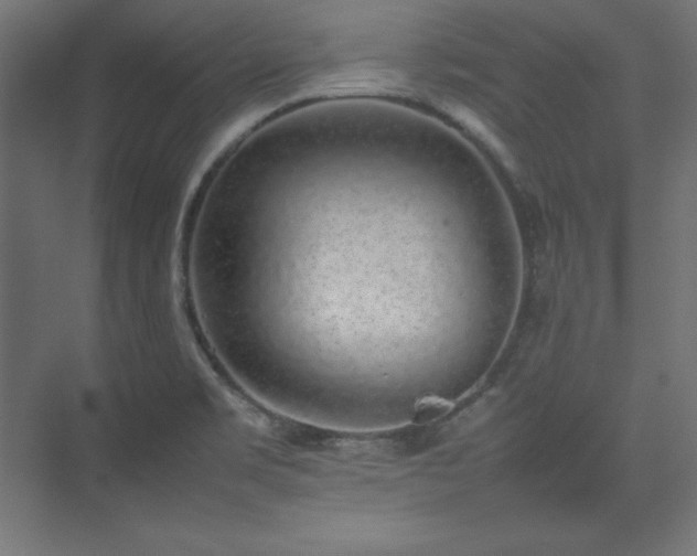 X0000074971469200609011203