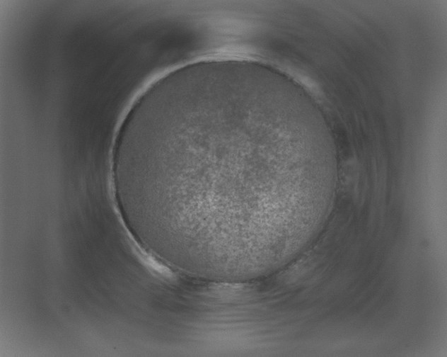 X0000074971470200609011203