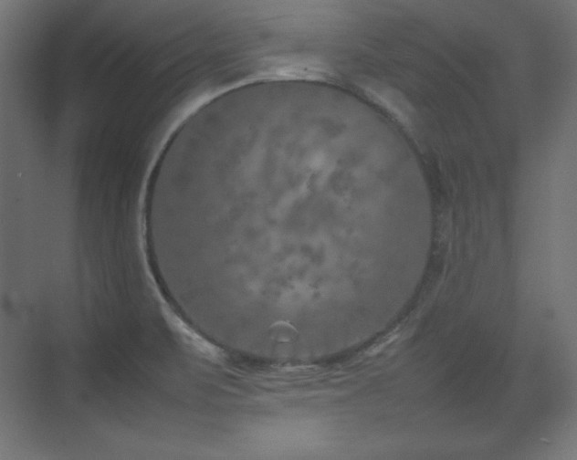 X0000074971471200609011203