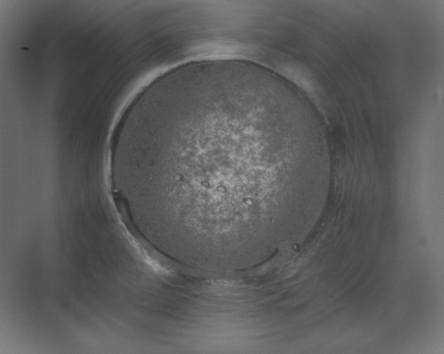 X0000074971472200609011203