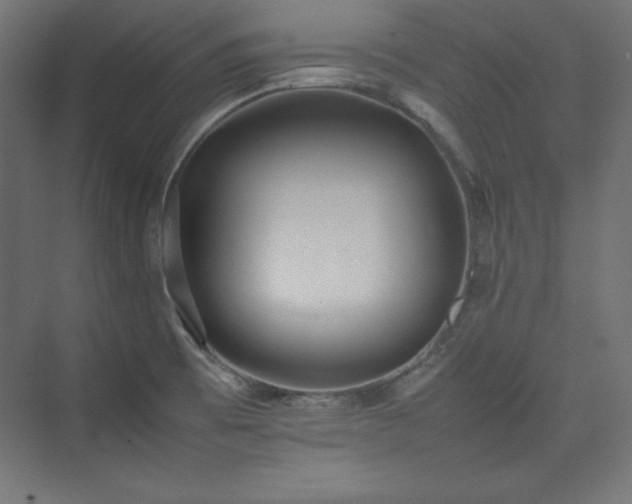 X0000074971473200609011203