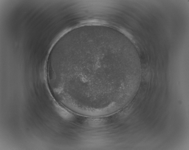 X0000074971474200609011203