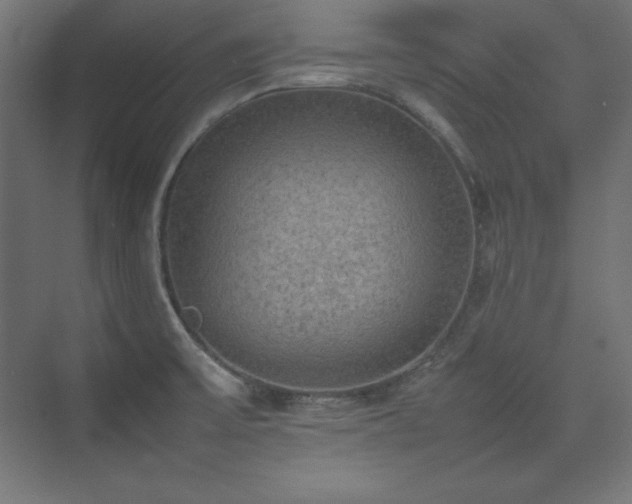 X0000074971475200609011203