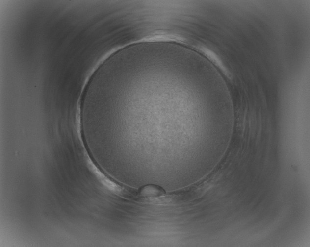 X0000074971476200609011203