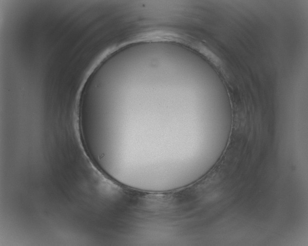 X0000074971478200609011203