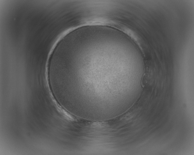 X0000074971480200609011203